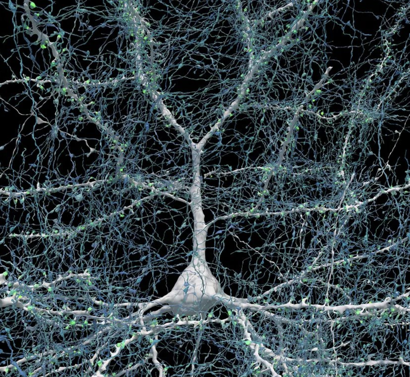 cyberomics network image