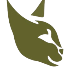 Cysana Logo